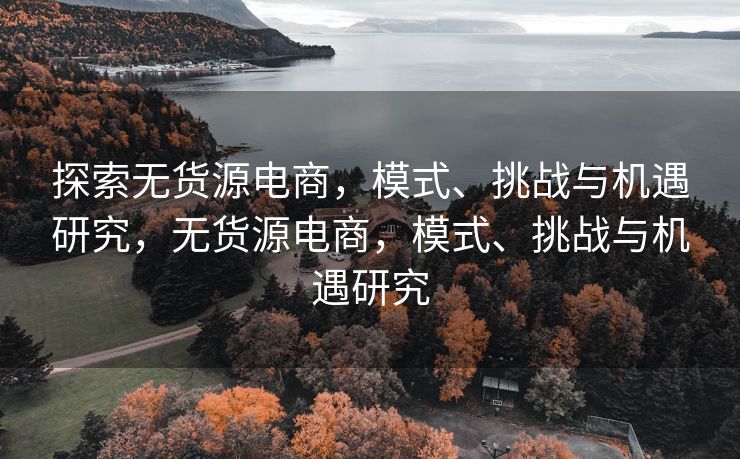 探索无货源电商，模式、挑战与机遇研究，无货源电商，模式、挑战与机遇研究