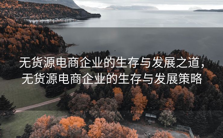 无货源电商企业的生存与发展之道，无货源电商企业的生存与发展策略