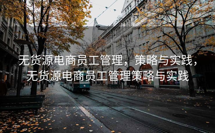 无货源电商员工管理，策略与实践，无货源电商员工管理策略与实践