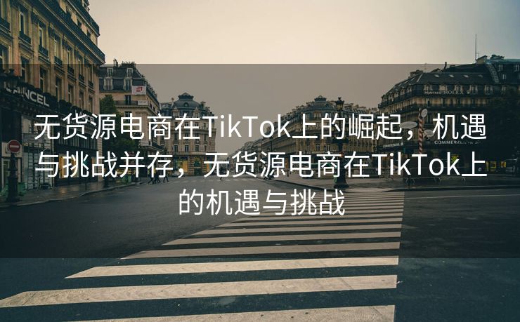 无货源电商在TikTok上的崛起，机遇与挑战并存，无货源电商在TikTok上的机遇与挑战