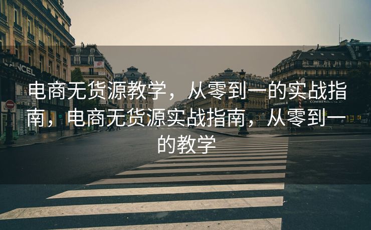 电商无货源教学，从零到一的实战指南，电商无货源实战指南，从零到一的教学