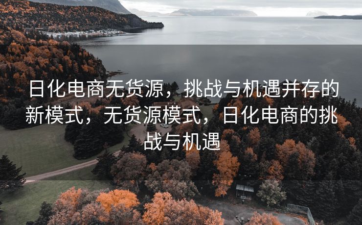 日化电商无货源，挑战与机遇并存的新模式，无货源模式，日化电商的挑战与机遇