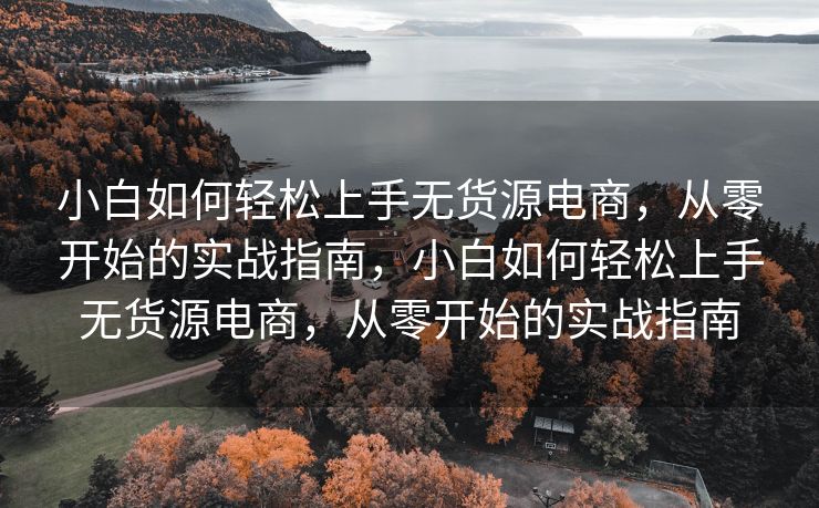 小白如何轻松上手无货源电商，从零开始的实战指南，小白如何轻松上手无货源电商，从零开始的实战指南