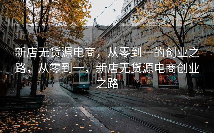 新店无货源电商，从零到一的创业之路，从零到一，新店无货源电商创业之路