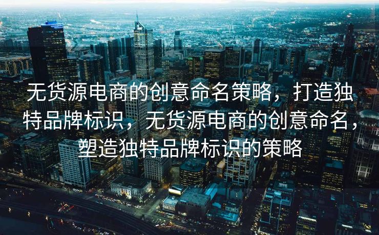 无货源电商的创意命名策略，打造独特品牌标识，无货源电商的创意命名，塑造独特品牌标识的策略