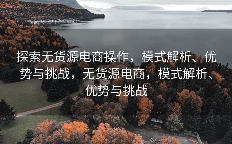 探索无货源电商操作，模式解析、优势与挑战，无货源电商，模式解析、优势与挑战