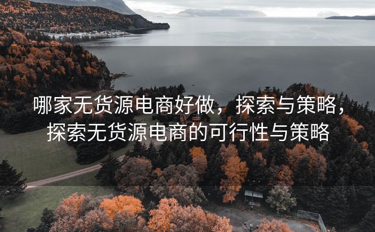哪家无货源电商好做，探索与策略，探索无货源电商的可行性与策略