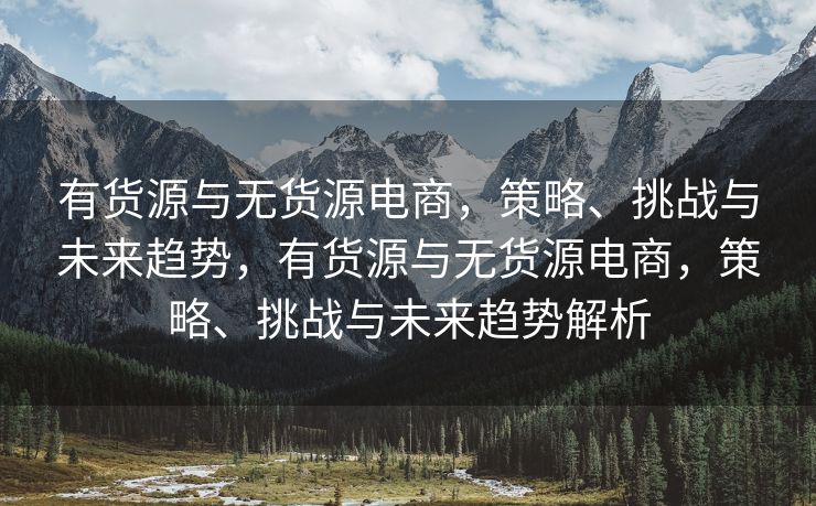 有货源与无货源电商，策略、挑战与未来趋势，有货源与无货源电商，策略、挑战与未来趋势解析