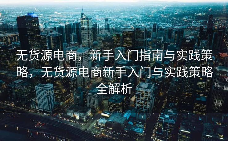 无货源电商，新手入门指南与实践策略，无货源电商新手入门与实践策略全解析