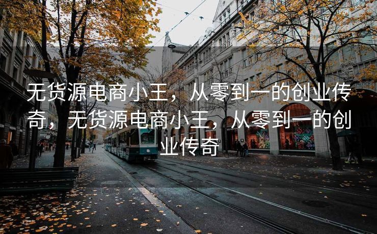 无货源电商小王，从零到一的创业传奇，无货源电商小王，从零到一的创业传奇