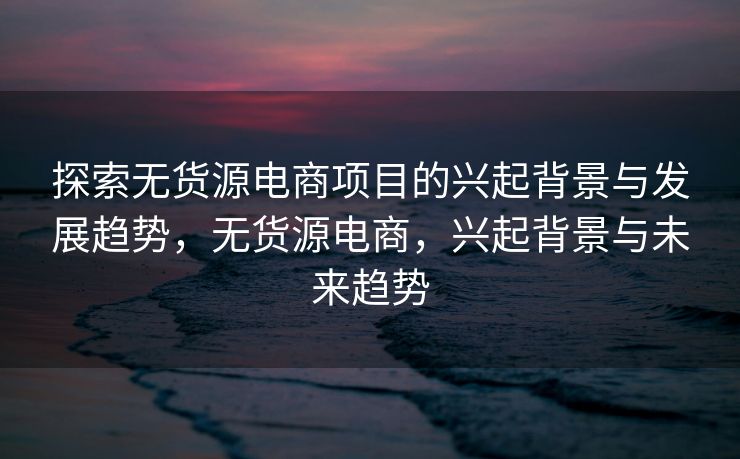 探索无货源电商项目的兴起背景与发展趋势，无货源电商，兴起背景与未来趋势