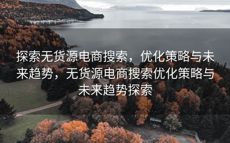 探索无货源电商搜索，优化策略与未来趋势，无货源电商搜索优化策略与未来趋势探索
