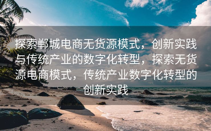 探索郸城电商无货源模式，创新实践与传统产业的数字化转型，探索无货源电商模式，传统产业数字化转型的创新实践