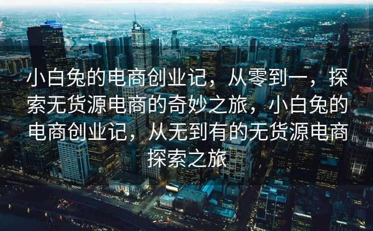小白兔的电商创业记，从零到一，探索无货源电商的奇妙之旅，小白兔的电商创业记，从无到有的无货源电商探索之旅