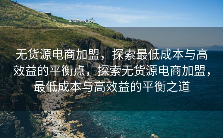 无货源电商加盟，探索最低成本与高效益的平衡点，探索无货源电商加盟，最低成本与高效益的平衡之道