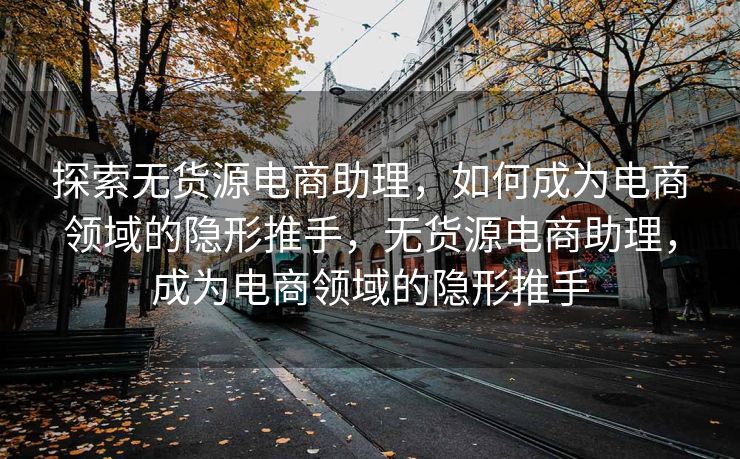 探索无货源电商助理，如何成为电商领域的隐形推手，无货源电商助理，成为电商领域的隐形推手