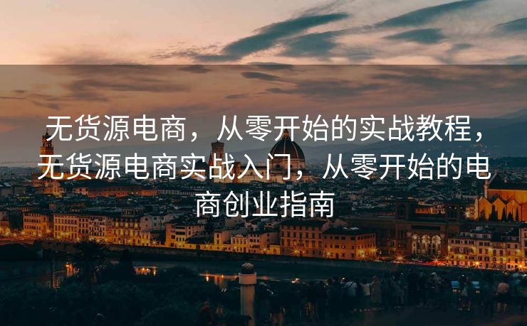 无货源电商，从零开始的实战教程，无货源电商实战入门，从零开始的电商创业指南