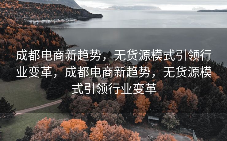 成都电商新趋势，无货源模式引领行业变革，成都电商新趋势，无货源模式引领行业变革