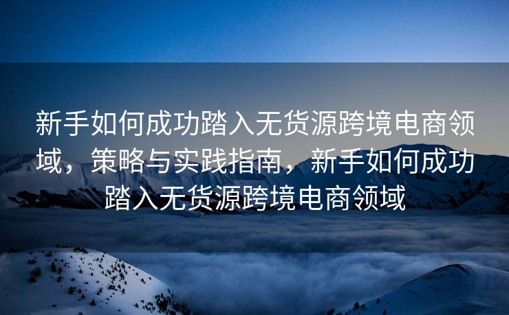 新手如何成功踏入无货源跨境电商领域，策略与实践指南，新手如何成功踏入无货源跨境电商领域