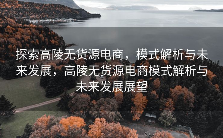 探索高陵无货源电商，模式解析与未来发展，高陵无货源电商模式解析与未来发展展望
