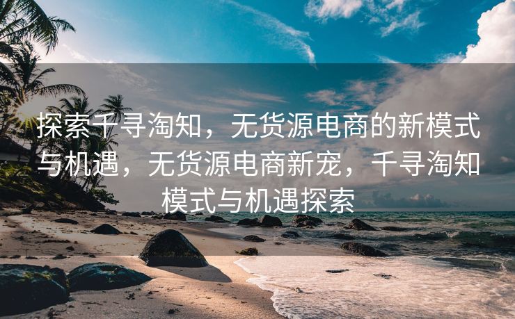 探索千寻淘知，无货源电商的新模式与机遇，无货源电商新宠，千寻淘知模式与机遇探索