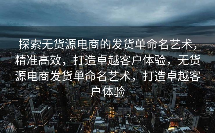 探索无货源电商的发货单命名艺术，精准高效，打造卓越客户体验，无货源电商发货单命名艺术，打造卓越客户体验