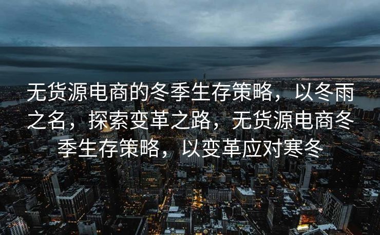无货源电商的冬季生存策略，以冬雨之名，探索变革之路，无货源电商冬季生存策略，以变革应对寒冬