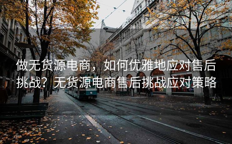 做无货源电商，如何优雅地应对售后挑战？无货源电商售后挑战应对策略